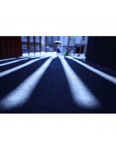 Canon RF 24mm f/1.4 L VCM|MCZ DIRECT