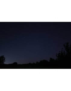 Cielo estrellado en ambiente oscuro con siluetas de árboles, capturado con Canon RF 24mm f/1.4 L VCM Cielo estrellado en ambiente oscuro con siluetas de árboles, capturado con Canon RF 24mm f/1.4 L VCM