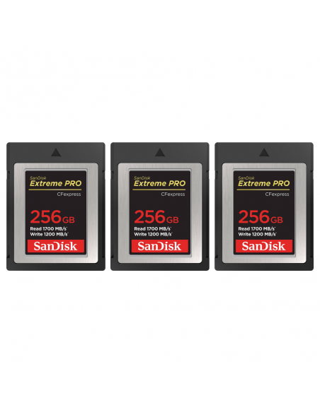 Canon EOS R1 + RF 16-28mm f/2.8 IS STM + 3 SanDisk 256GB Extreme PRO CFexpress Type B + Canon LP-E19|MCZ DIRECT