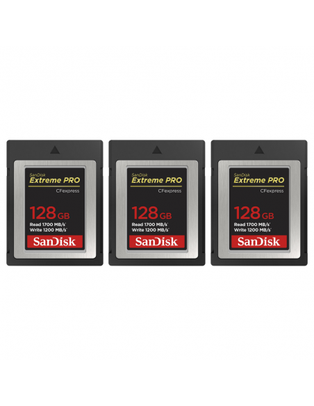 Canon EOS R1 + RF 24mm f/1.4 L VCM + 3 SanDisk 128GB Extreme PRO CFexpress Type B|MCZ DIRECT