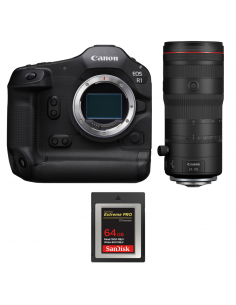Canon|MCZ DIRECT