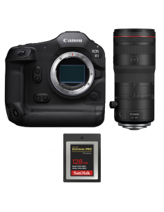 Canon|MCZ DIRECT