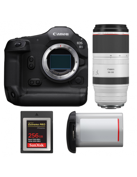 Canon EOS R1 + RF 100-500mm f/4.5-7.1 L IS USM + 1 SanDisk 256GB Extreme PRO CFexpress Type B + Canon LP-E19|MCZ DIRECT
