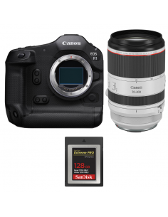 Canon|MCZ DIRECT