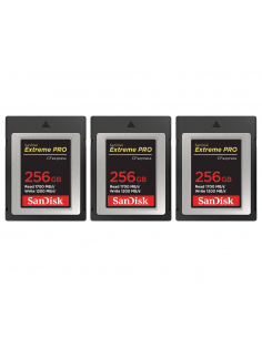 Canon EOS R1 + RF 15-35mm f/2.8 L IS USM + 3 SanDisk 256GB Extreme PRO CFexpress Type B + 2 Canon LP Canon EOS R1 + RF 15-35mm f/2.8 L IS USM + 3 SanDisk 256GB Extreme PRO CFexpress Type B + 2 Canon LP