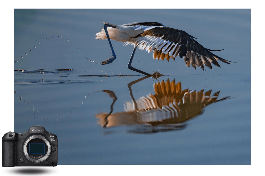 Canon Eos R5 Mark II Photo 3