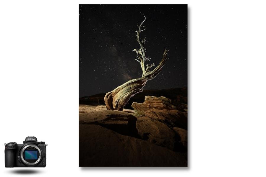 appareil-photo-hybride-nikon-z-7II-exemple-photo.jpg