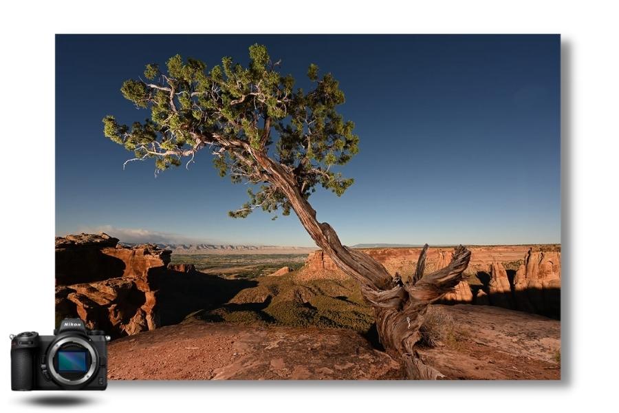 nikon-z7-II-essai-photo.jpg