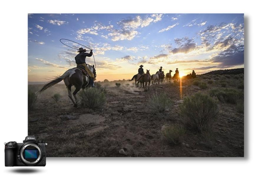nikon-z7II-essai-photo.jpg