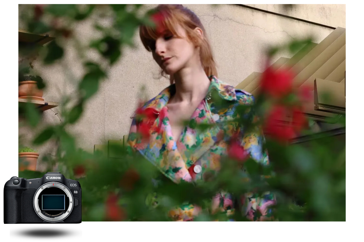 Retrato artístico de una mujer entre follaje rojo, fotografiado con la Canon EOS R8 en luz natural suave Retrato artístico de una mujer entre follaje rojo, fotografiado con la Canon EOS R8 en luz natural suave
