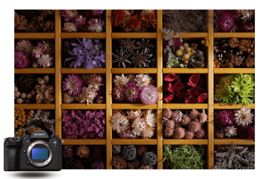 Sony A1 II photo