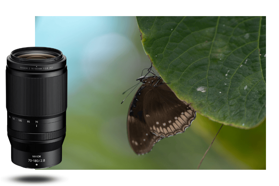 Nikon NIKKOR Z 70-180mm f/2.8