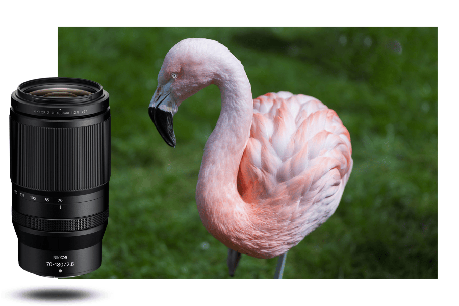 Nikon NIKKOR Z 70-180mm f/2.8