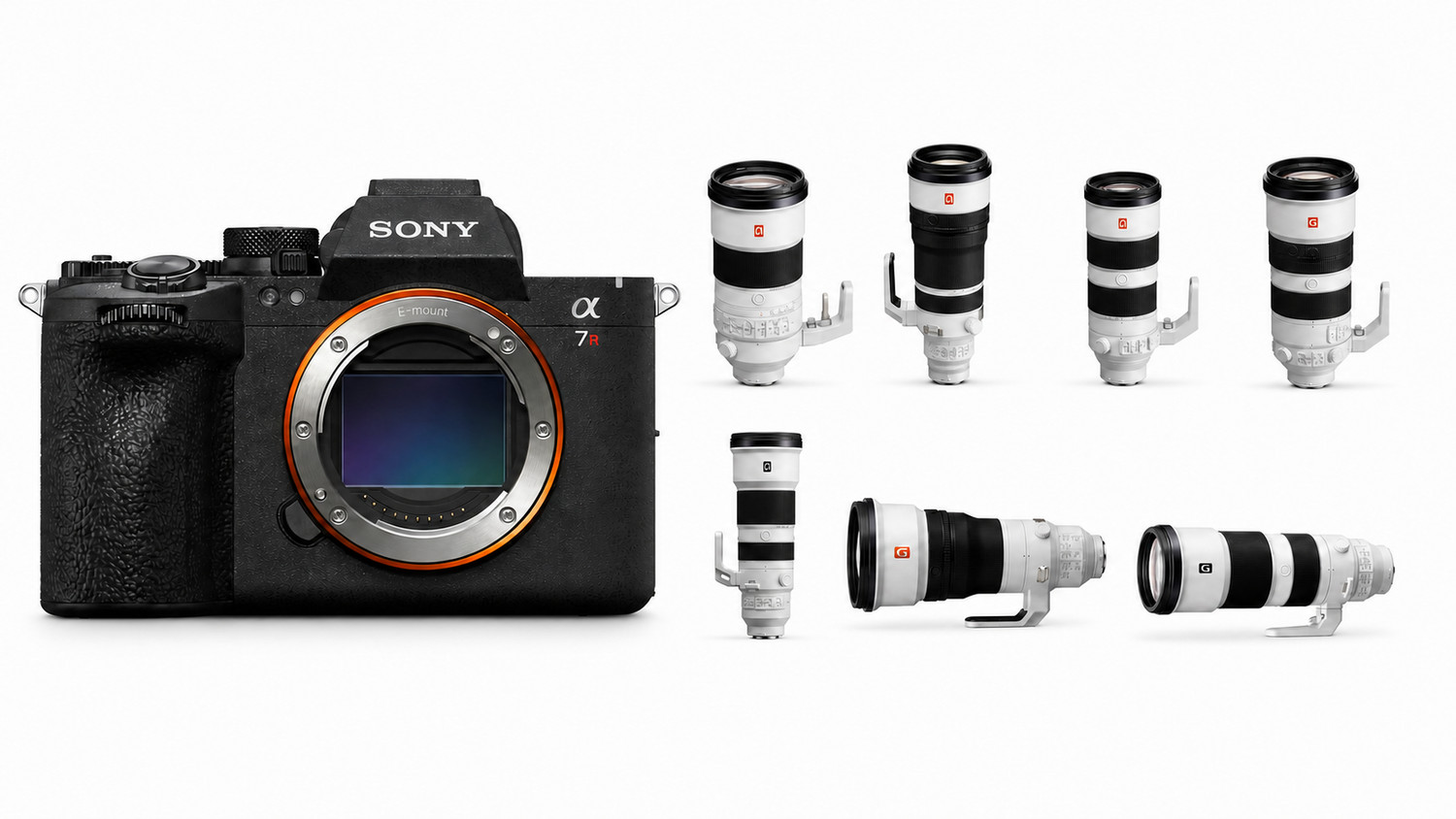 Best wildlife lenses for the Sony A7R VI in 2026