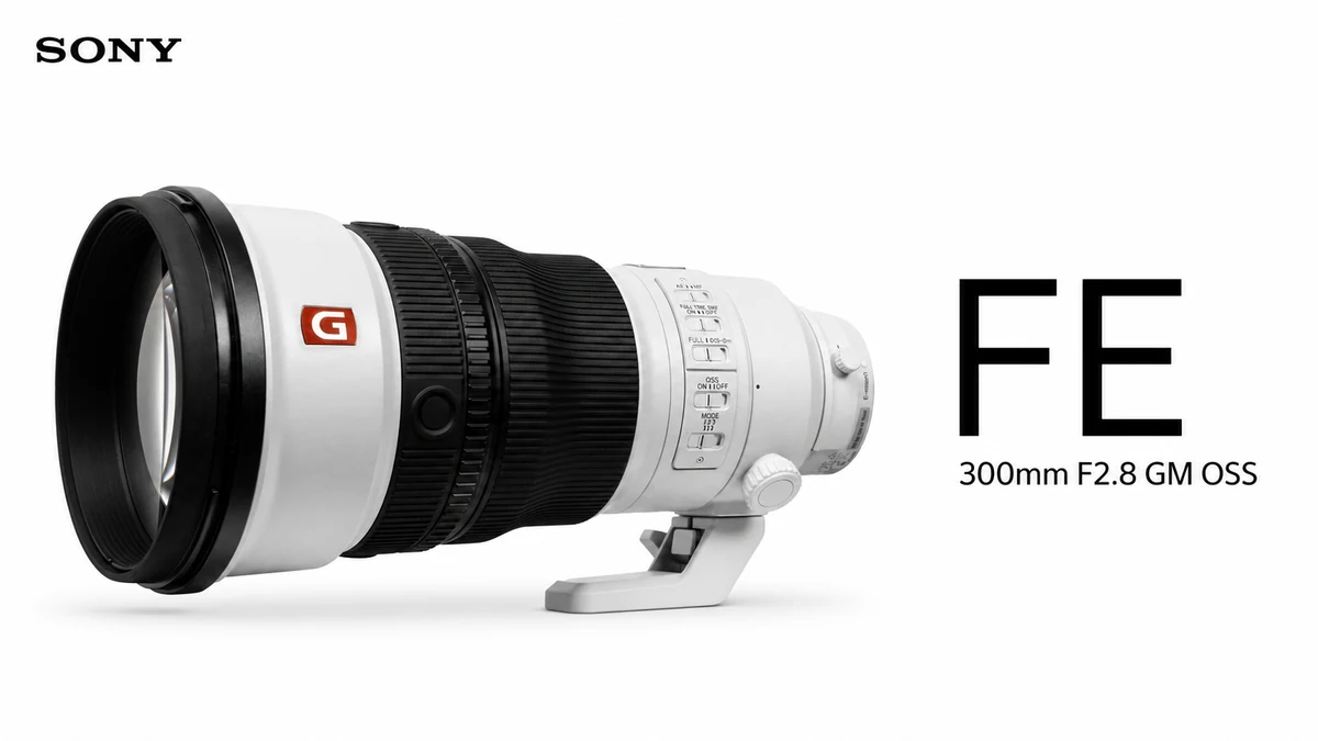 Sony FE 300mm F2.8 GM OSS for wildlife action and low-light photography with the Sony A7R VI