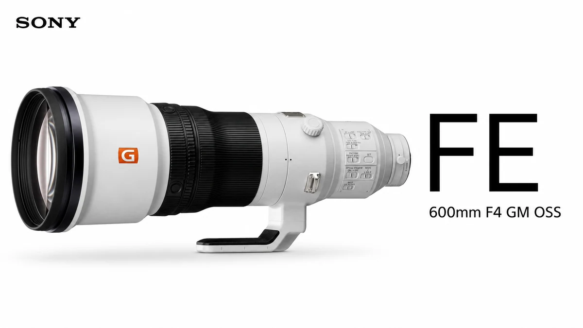 Sony FE 600mm F4 GM OSS for distant birds at dawn and dusk with the Sony A7R VI