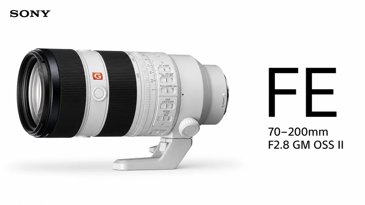 Sony FE 70-200mm F2.8 GM OSS II for large animals and woodland photography with the Sony A7R VI