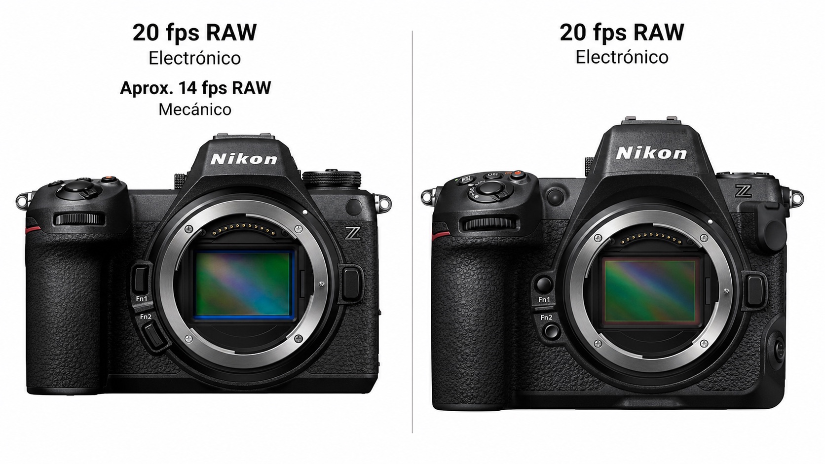 Comparación de ráfaga RAW y obturadores de la Nikon Z6 III y la Nikon Z8