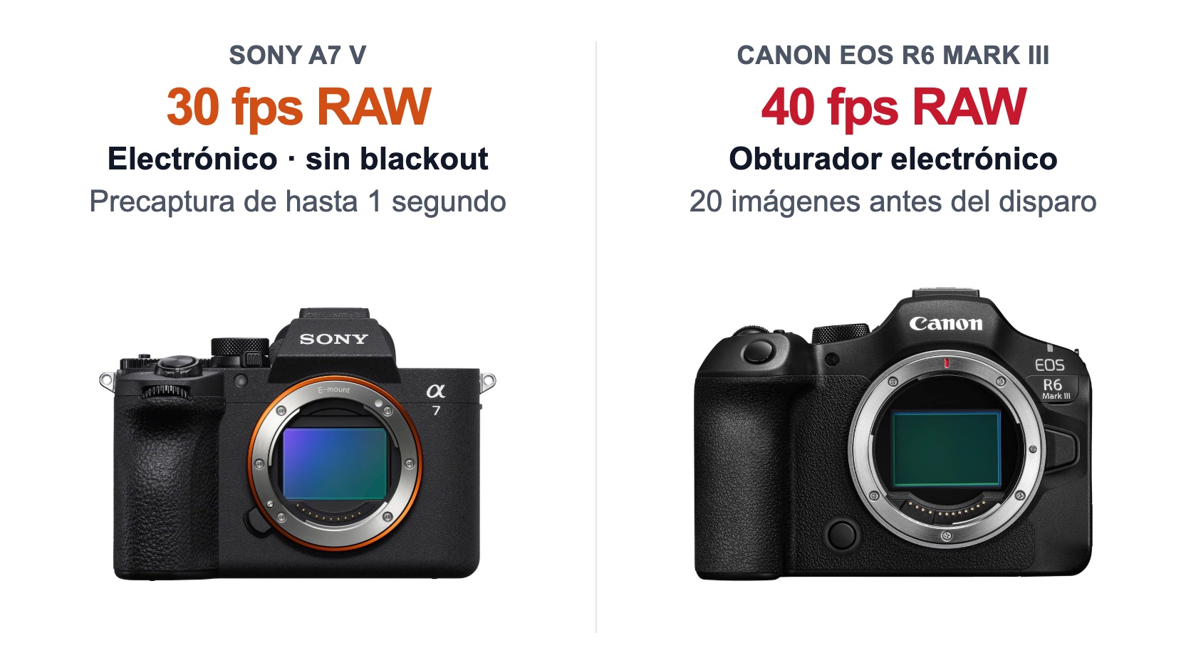 Sony A7 V frente a Canon EOS R6 Mark III: ráfaga y captura previa