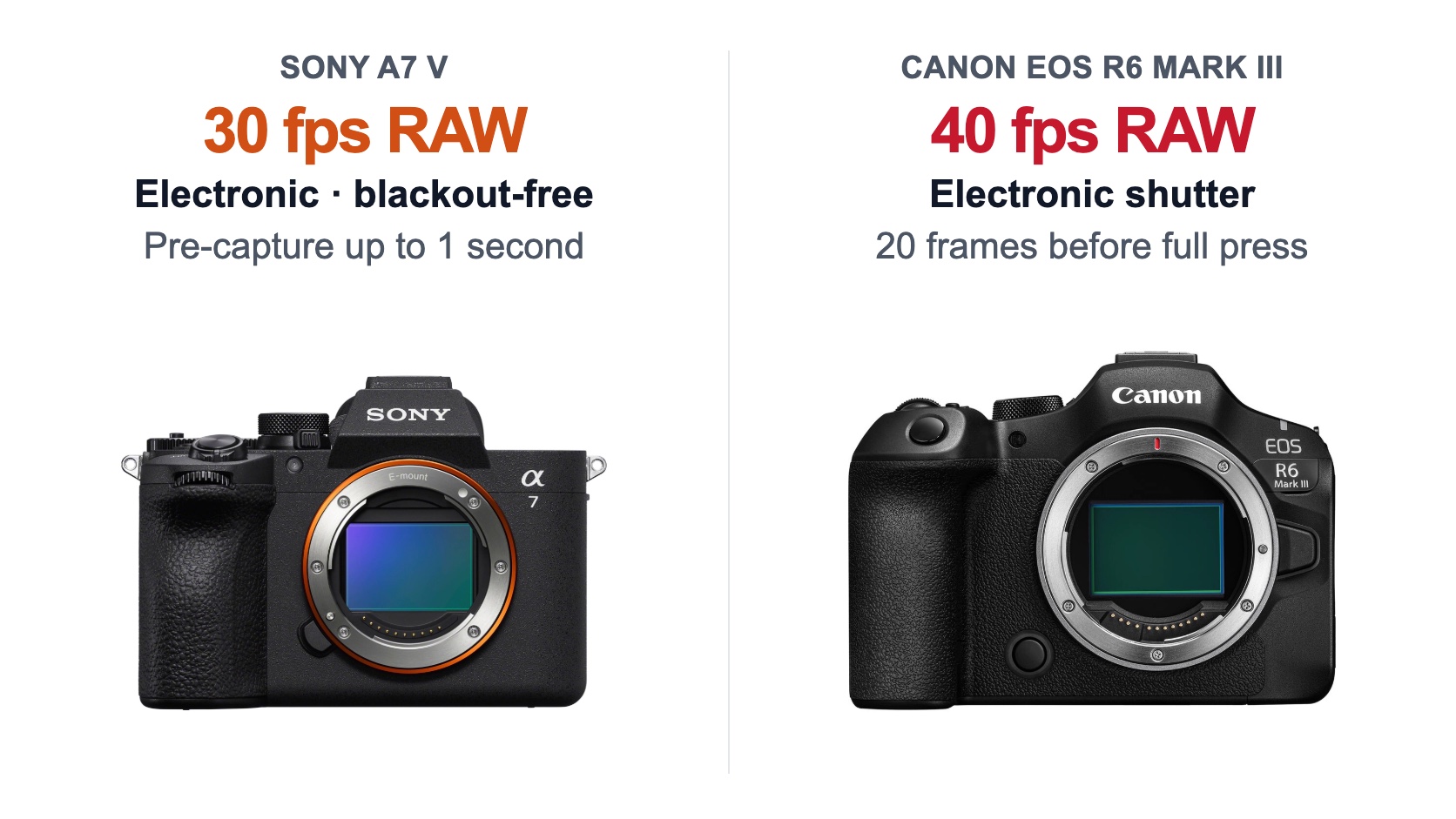 Sony A7 V versus Canon EOS R6 Mark III burst rates and pre-capture compared