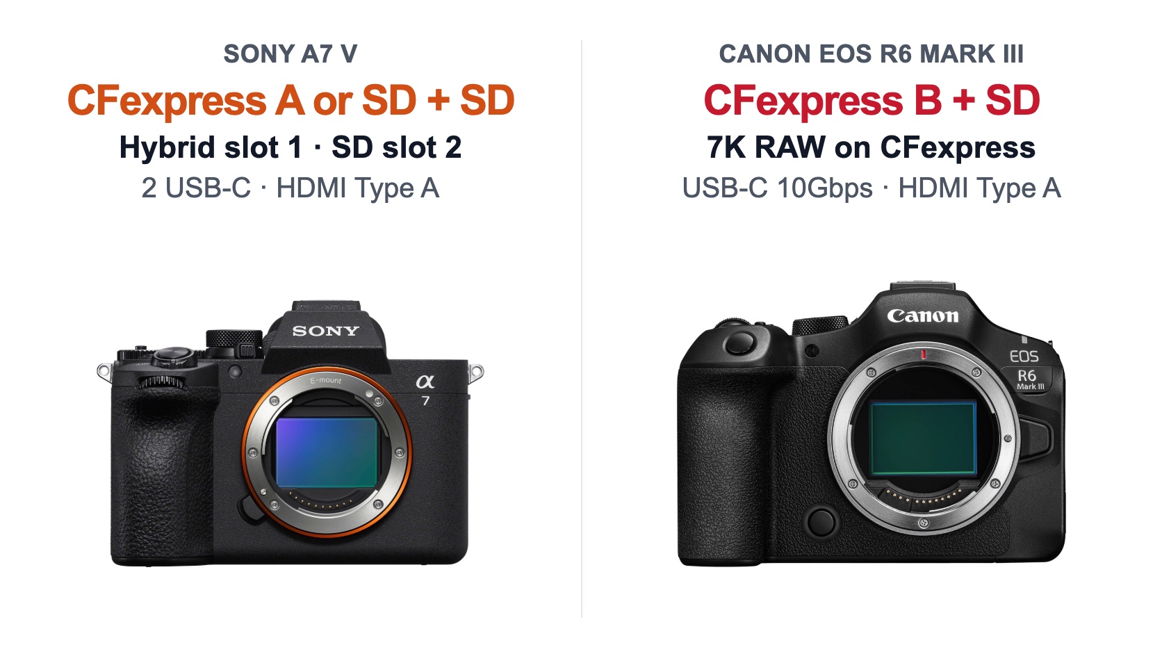Sony A7 V versus Canon EOS R6 Mark III memory cards and connectivity compared