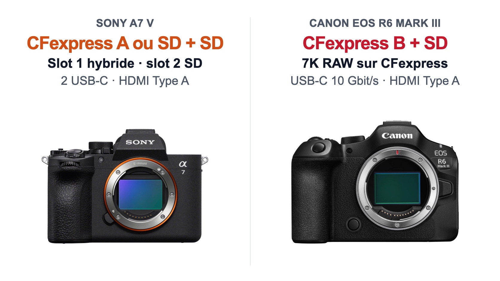 Sony A7 V contre Canon EOS R6 Mark III : cartes mémoire et connectique