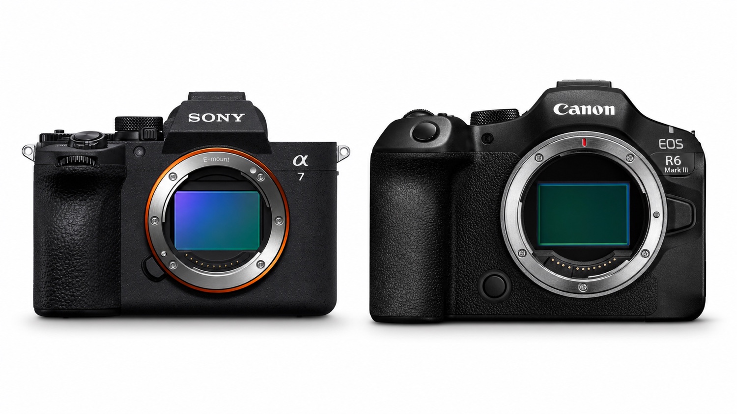 Sony A7 V vs Canon EOS R6 Mark III: Which Should You Choose in 2026?