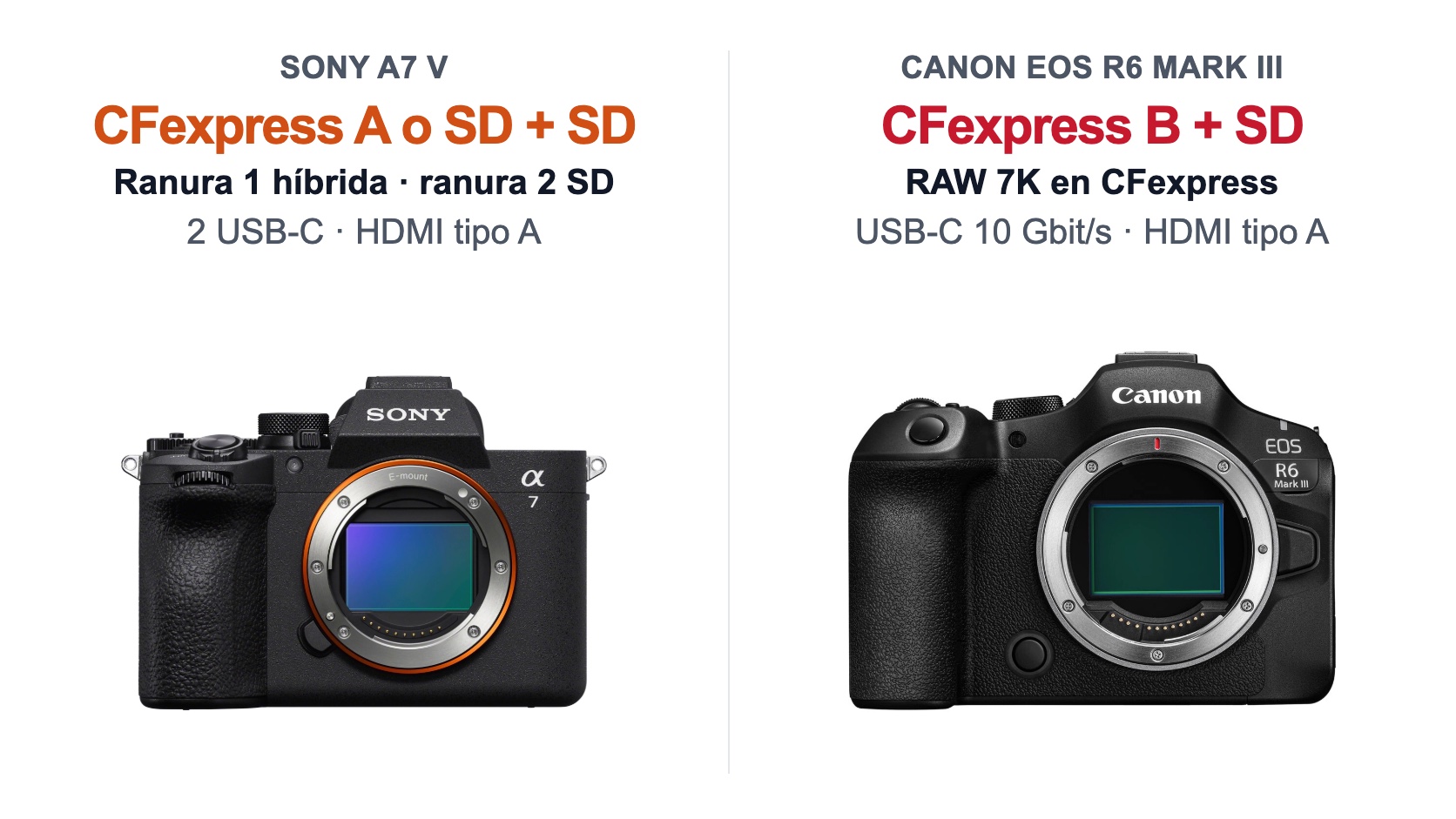 Sony A7 V frente a Canon EOS R6 Mark III: tarjetas de memoria y conexiones