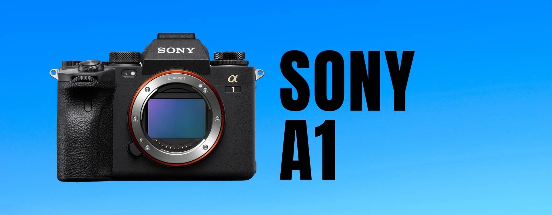 Le meilleur appareil photo hybride de tous : Sony Alpha 1