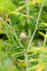 duznninmpawp6f4b6fqb
