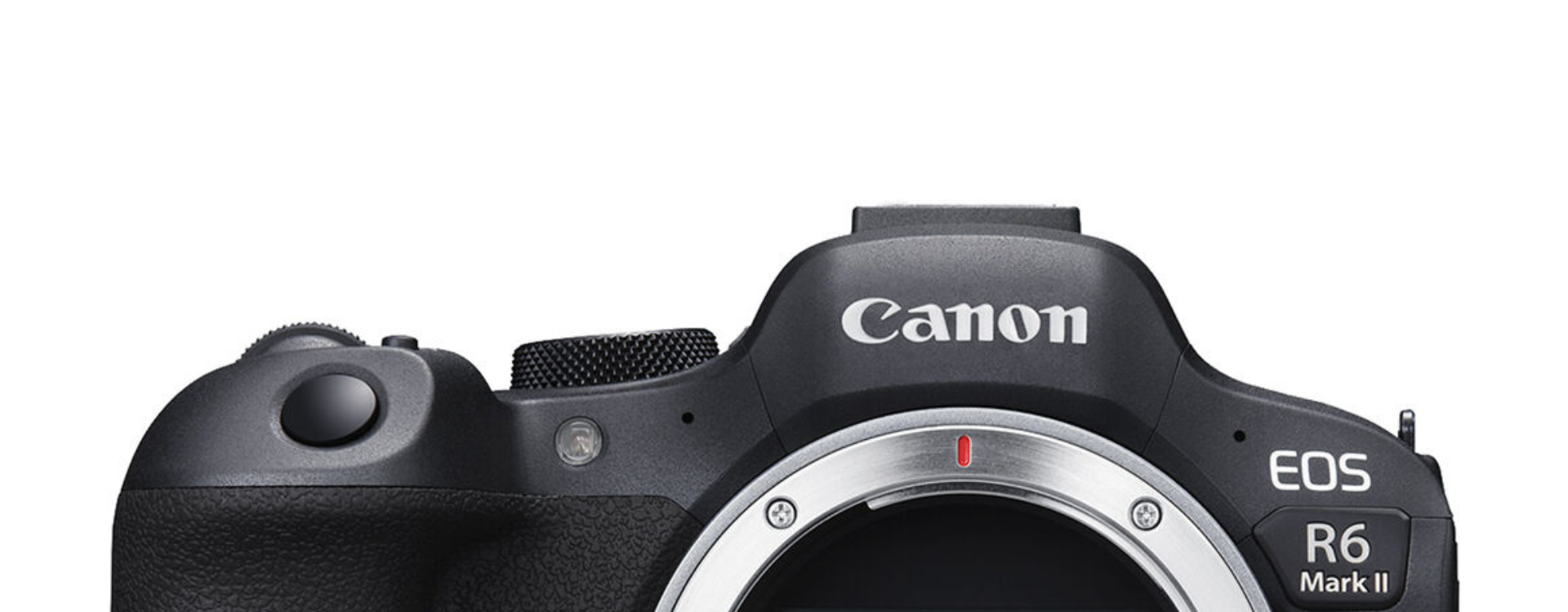 Introducing the Canon EOS R6 Mark II 