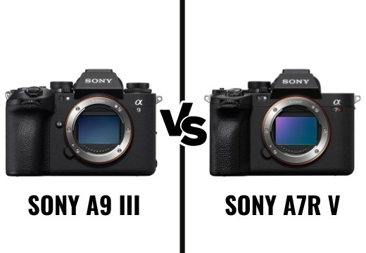 Sony A9 III vs Sony A7R V: Les Différences